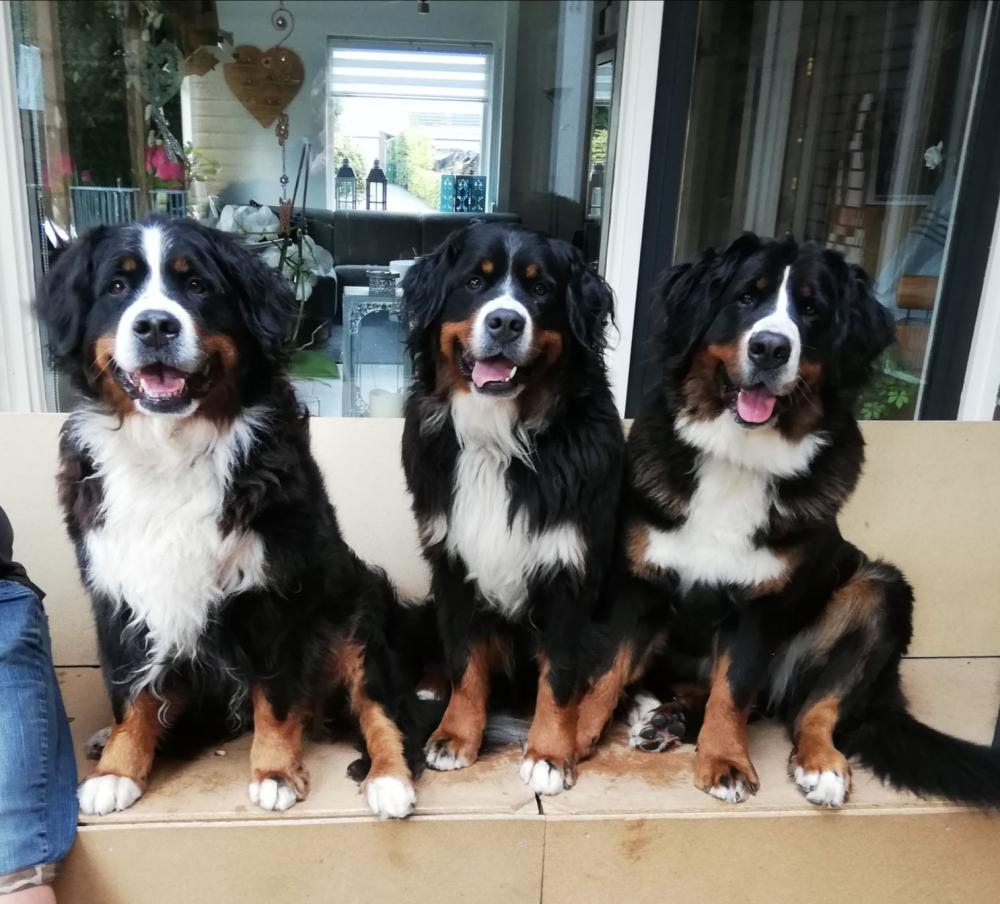 Lekker knus